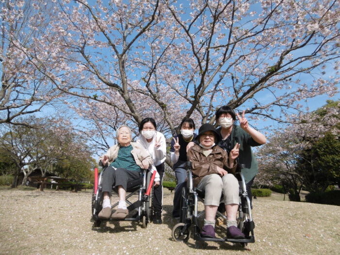 桜満開🌸お花見に出かけています！！