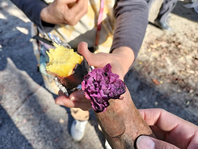 地域と一緒に焼き芋大会♪
