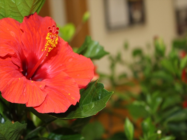 090110_R.JPG