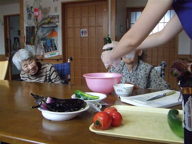 夏野菜が採れました