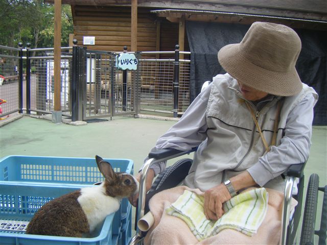 2010_11050048_R.jpg