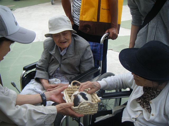 2010_11050055_R.jpg