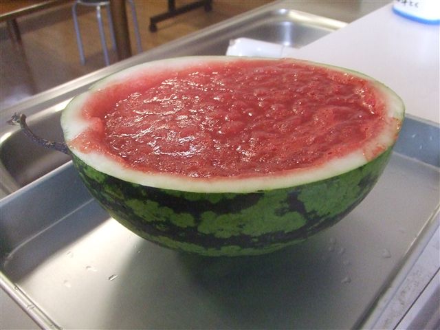 2011_0729080015_R.jpg
