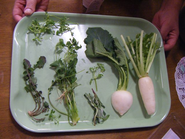 2012_01080008.jpg