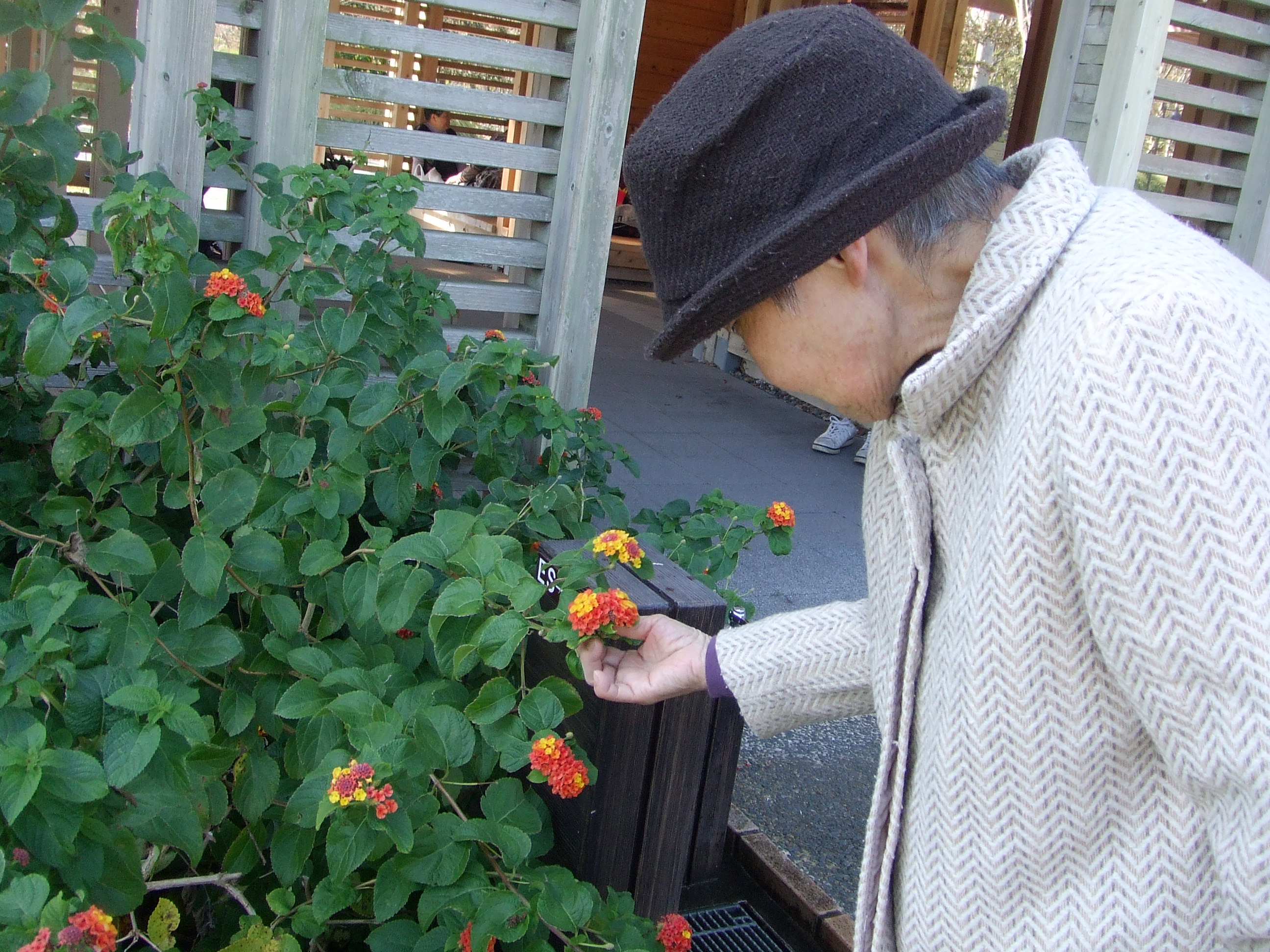 2012_1026080013.JPG