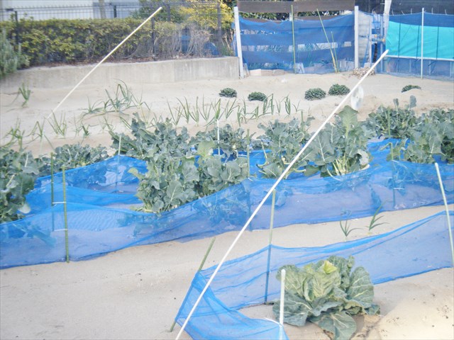 2017022502.JPG