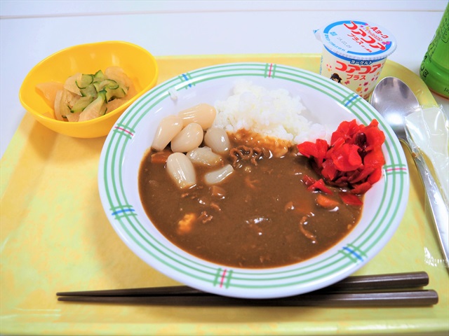 介護の魅力発見ツアーが開かれました！