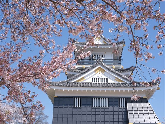 DSCF3013_R.JPG