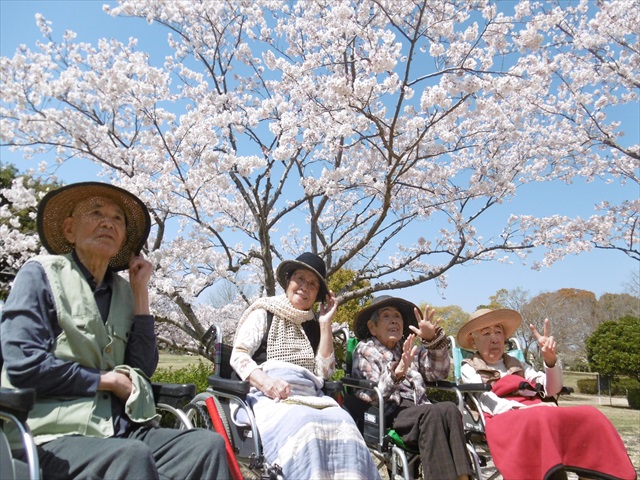 今年はお花見に行ってきました✿