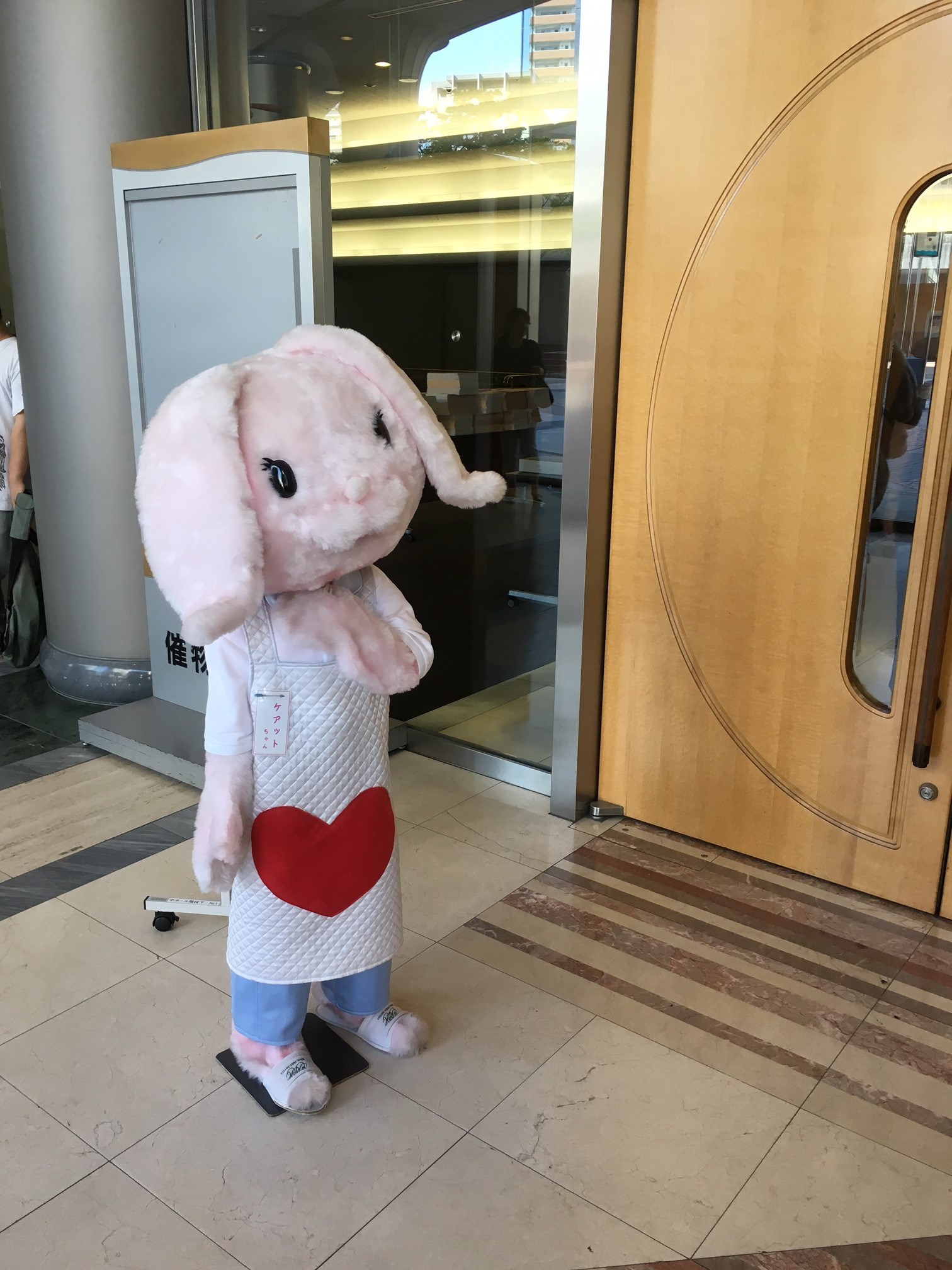 圧縮ケアットちゃん登場