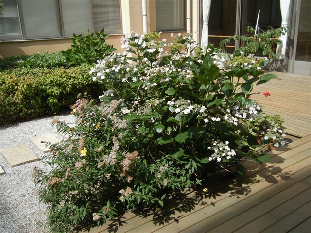 290061003.JPG