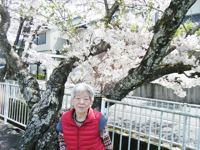 29041302.JPG