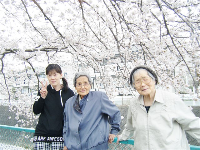 29041305.JPG