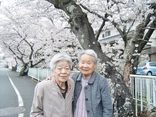 29041307.JPG