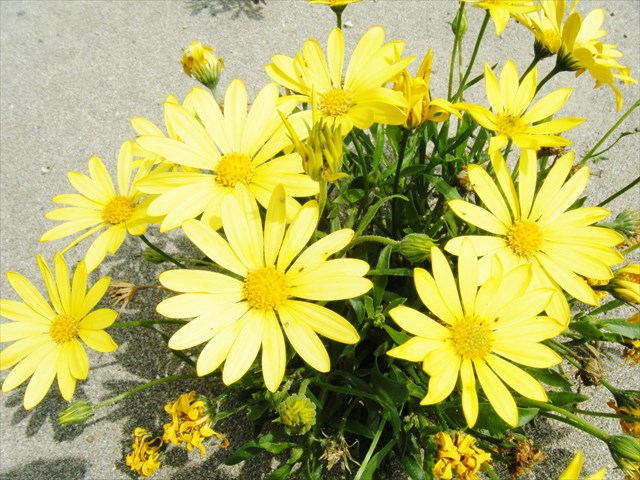 29042206.JPG