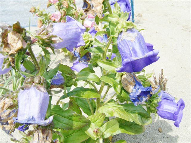 29042207.JPG