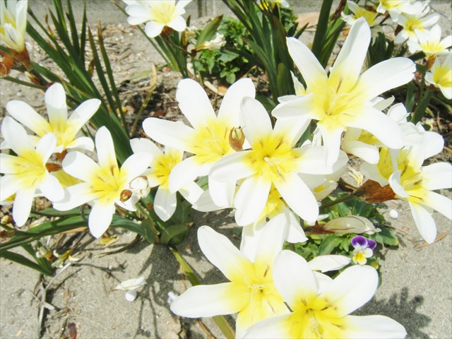 29042210.JPG