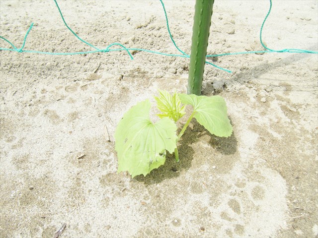 29042215.JPG