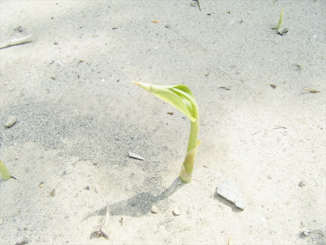 29042217.JPG