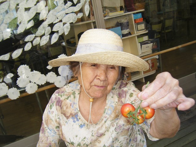 29081907.JPG