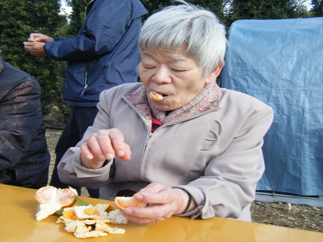 29120913.JPG
