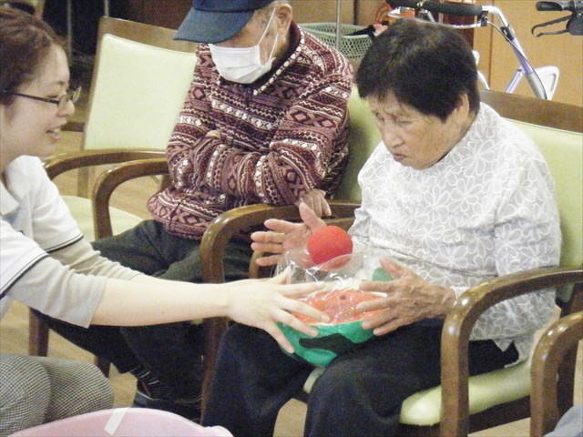 2952012.JPG