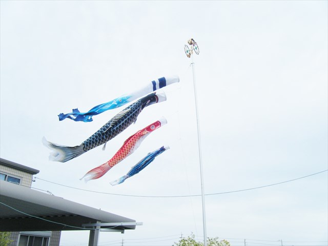 295607.JPG