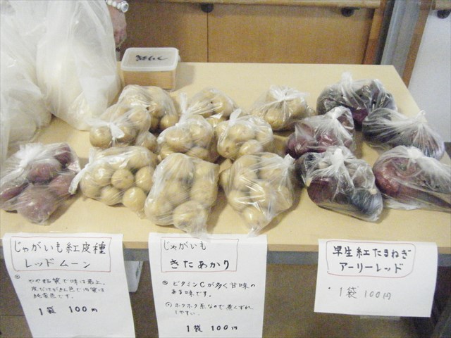 296311.JPG