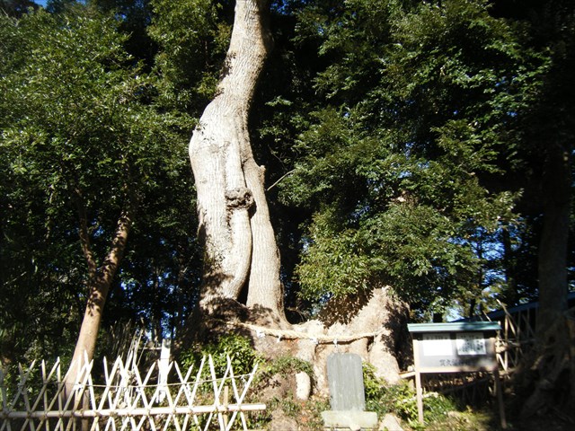 30.1.4.2.JPG