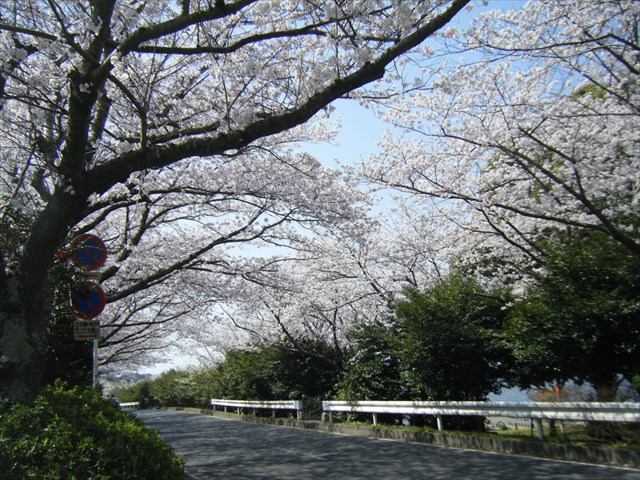 30.3.29.2.JPG