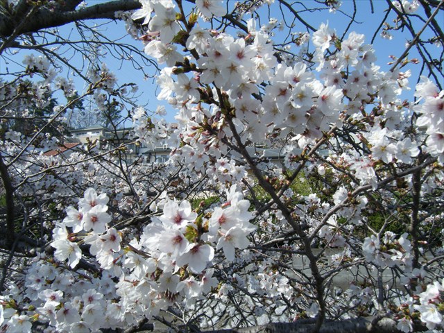 30.3.29.3.JPG