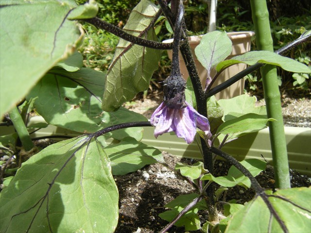 30.5.12.3.JPG