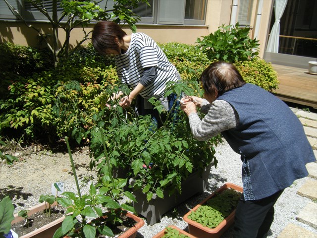 30.5.12.6.JPG