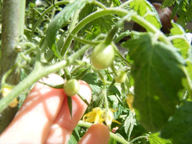 30.5.12.9.JPG