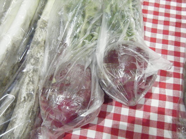 30020310.JPG