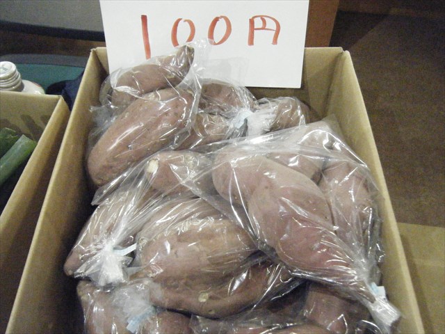 30020311.JPG