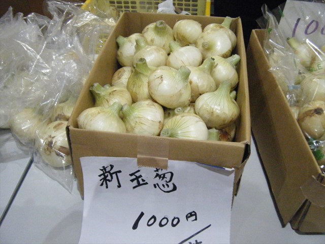30020313.JPG