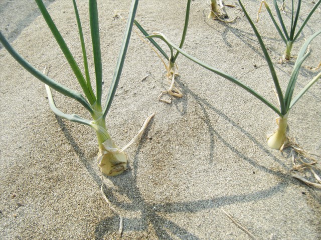 30022404.JPG