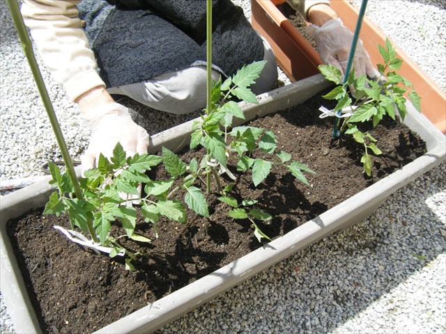 30041402_R.JPG