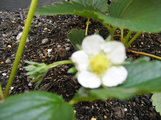30042802_R.JPG