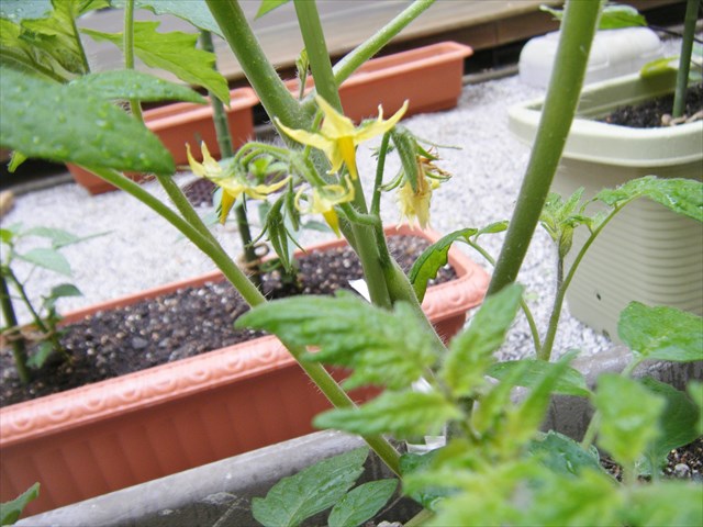 30042803_R.JPG
