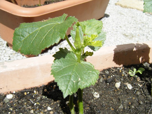 30051905_R.JPG