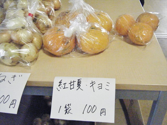 305513_R.JPG