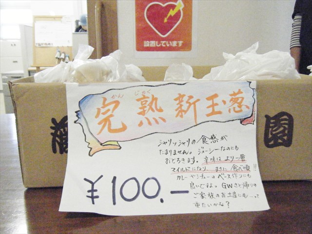 305514_R.JPG