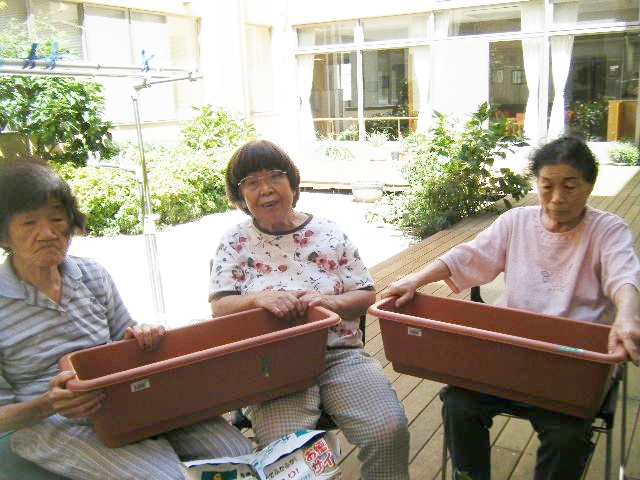 71602.JPG