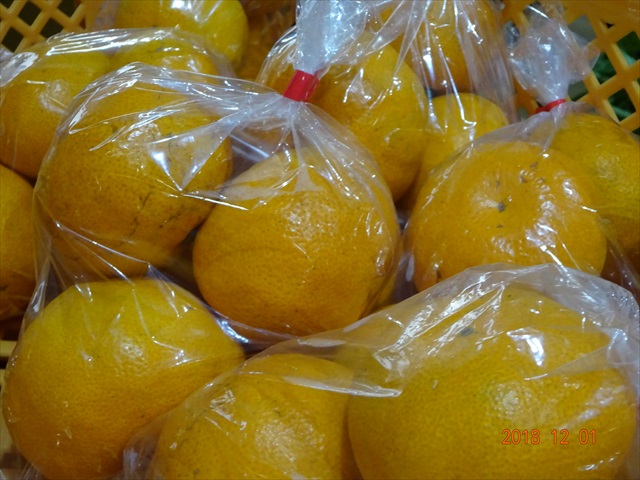 DSC0000333_R.JPG