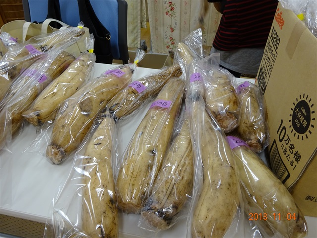 DSC00138_R.JPG
