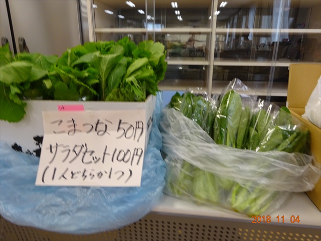 DSC00147_R.JPG