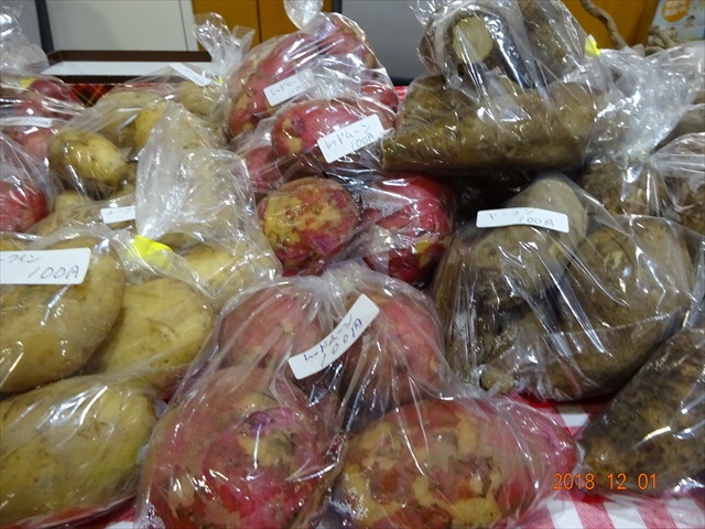 DSC00309_R.JPG