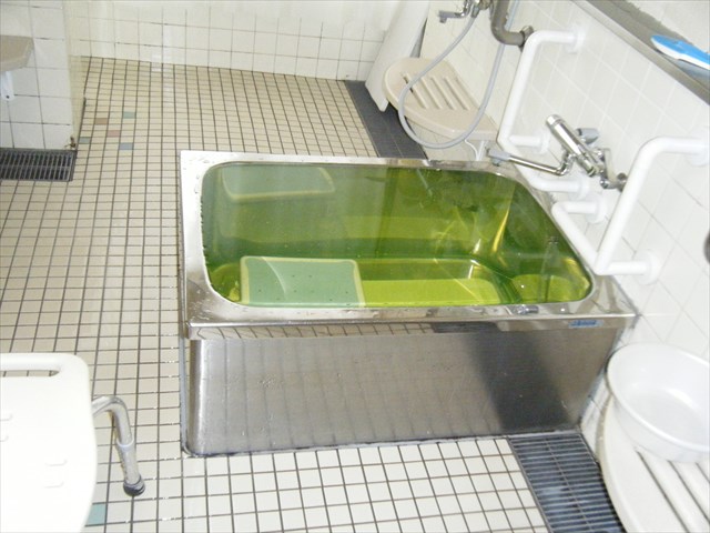 DSCF03560.JPG
